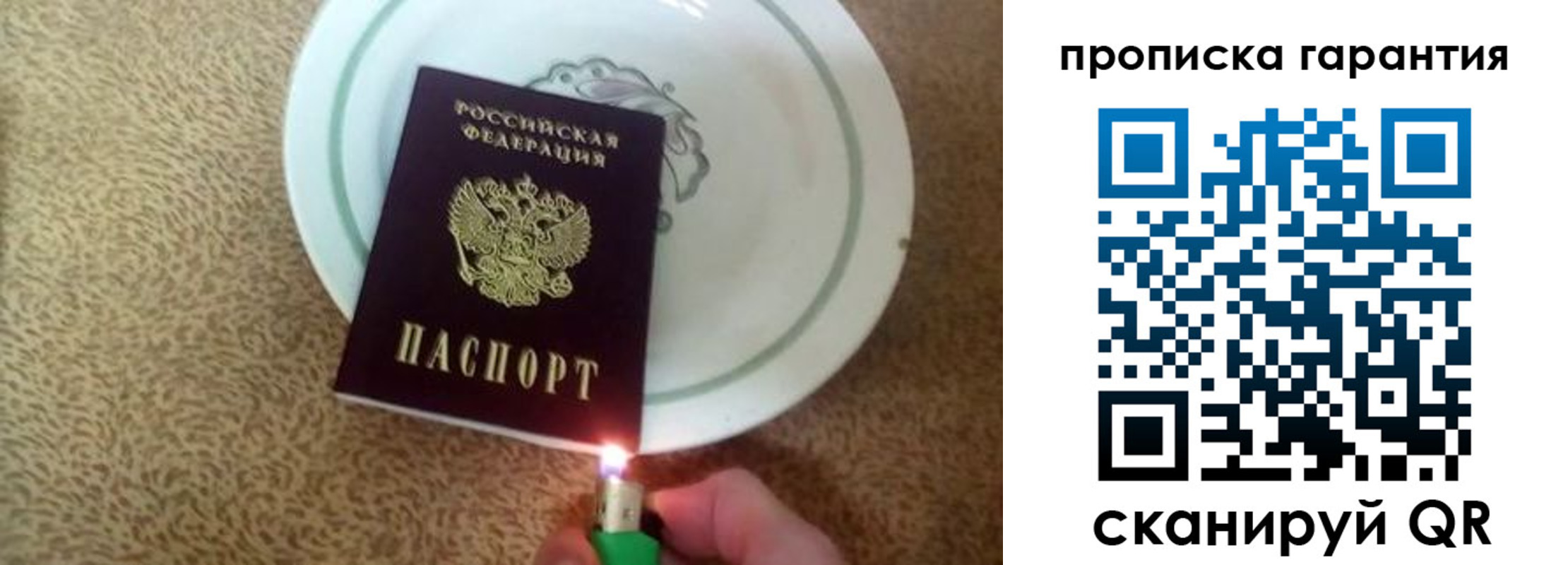 прописка гарантия в Сафоново